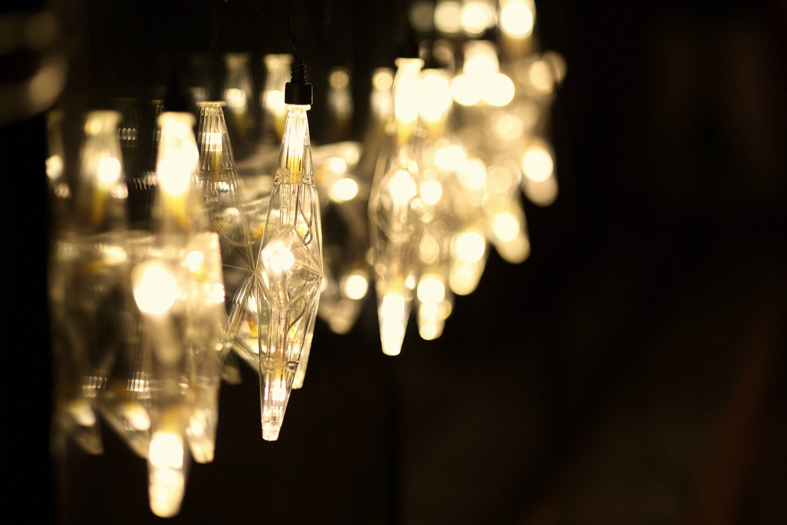 zahrada roste, děkujeme