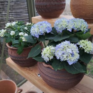 Workshop Osazovaná nádoba